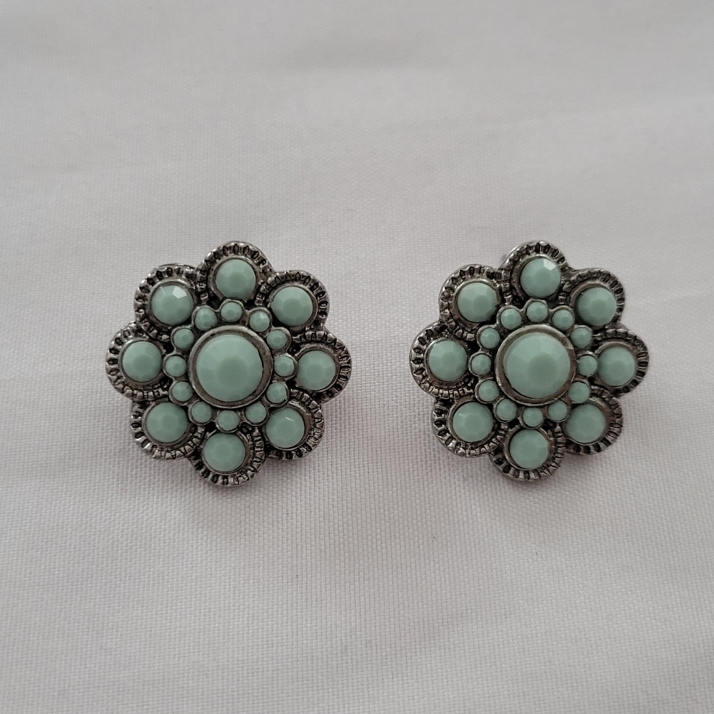 Beautiful Turquoise Stud Earrings